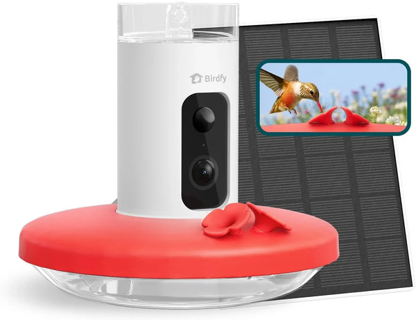 Hummingbird Feeder (Outdoor Hanging Type, with Camera, Ant-proof Groove), supports real-time viewing via 1080P high-definition application, equipped with artificial intelligence hummingbird recognition function, automatic recording and alarm function Y825