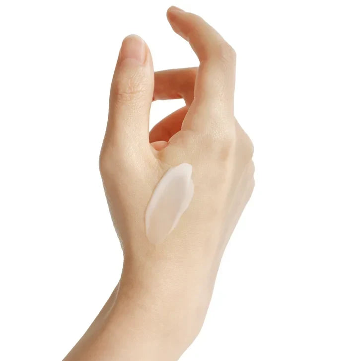 Beauty of Joseon Dynasty Cream, 2 x 100 mL