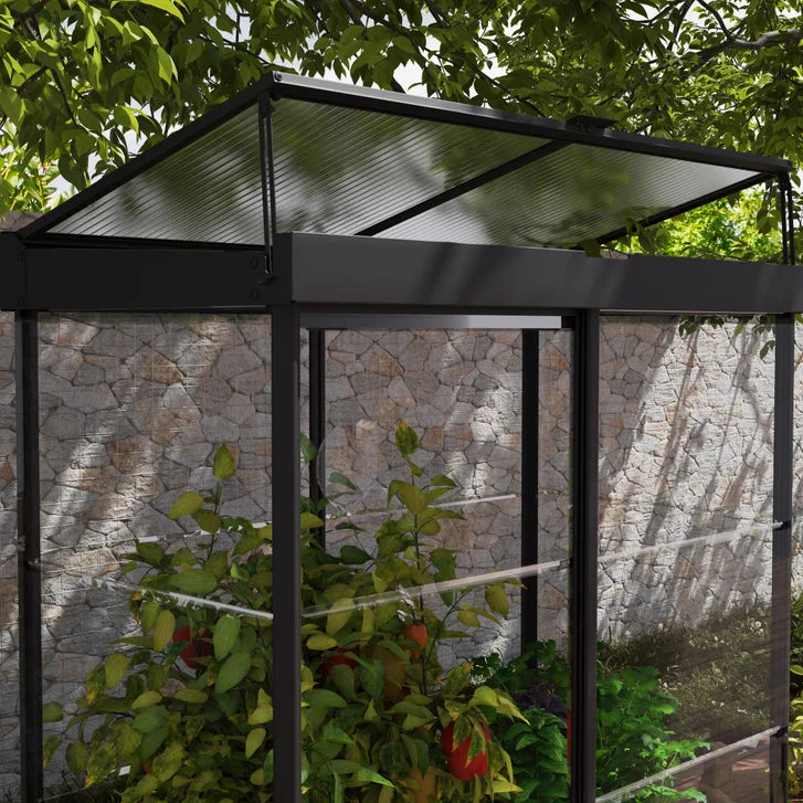 by Ivy 4 ft. x 2 ft. Mini Greenhouse Kit