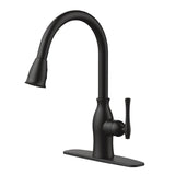 Lisa 1-Handle Pull-Down Kitchen Faucet, Matte Black