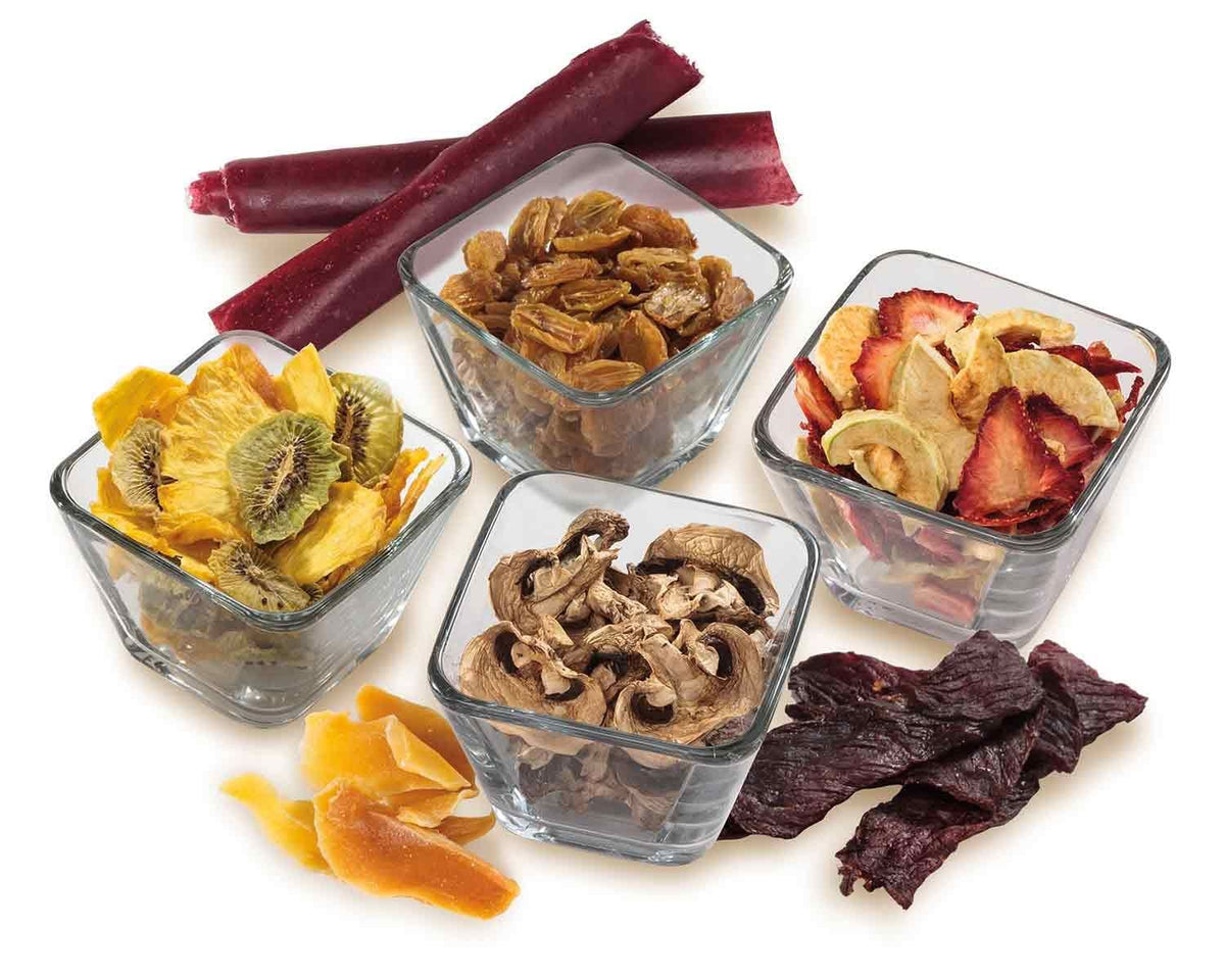 Digital Food Dehydrator with Adjustable Thermostat, Grey