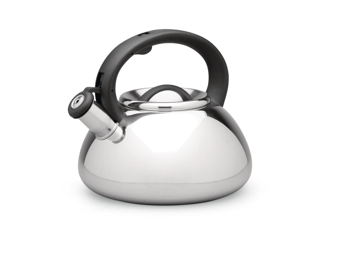 Stainless Steel Stovetop Kettle, 2.5-L