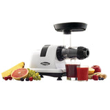 Omega Horizontal Slow Juicer, 150W, 4 Cups