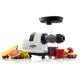 Omega Horizontal Slow Juicer, 150W, 4 Cups