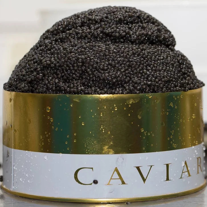 Quintessence Oscietra Sturgeon Caviar 100 g