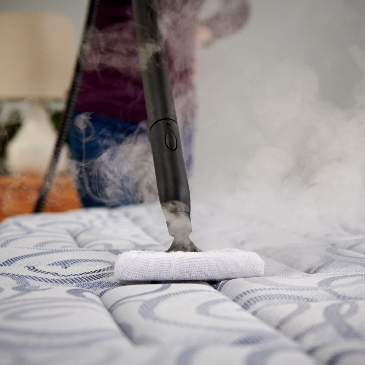 Wagner On-Demand Steamer