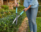 Colour Shears